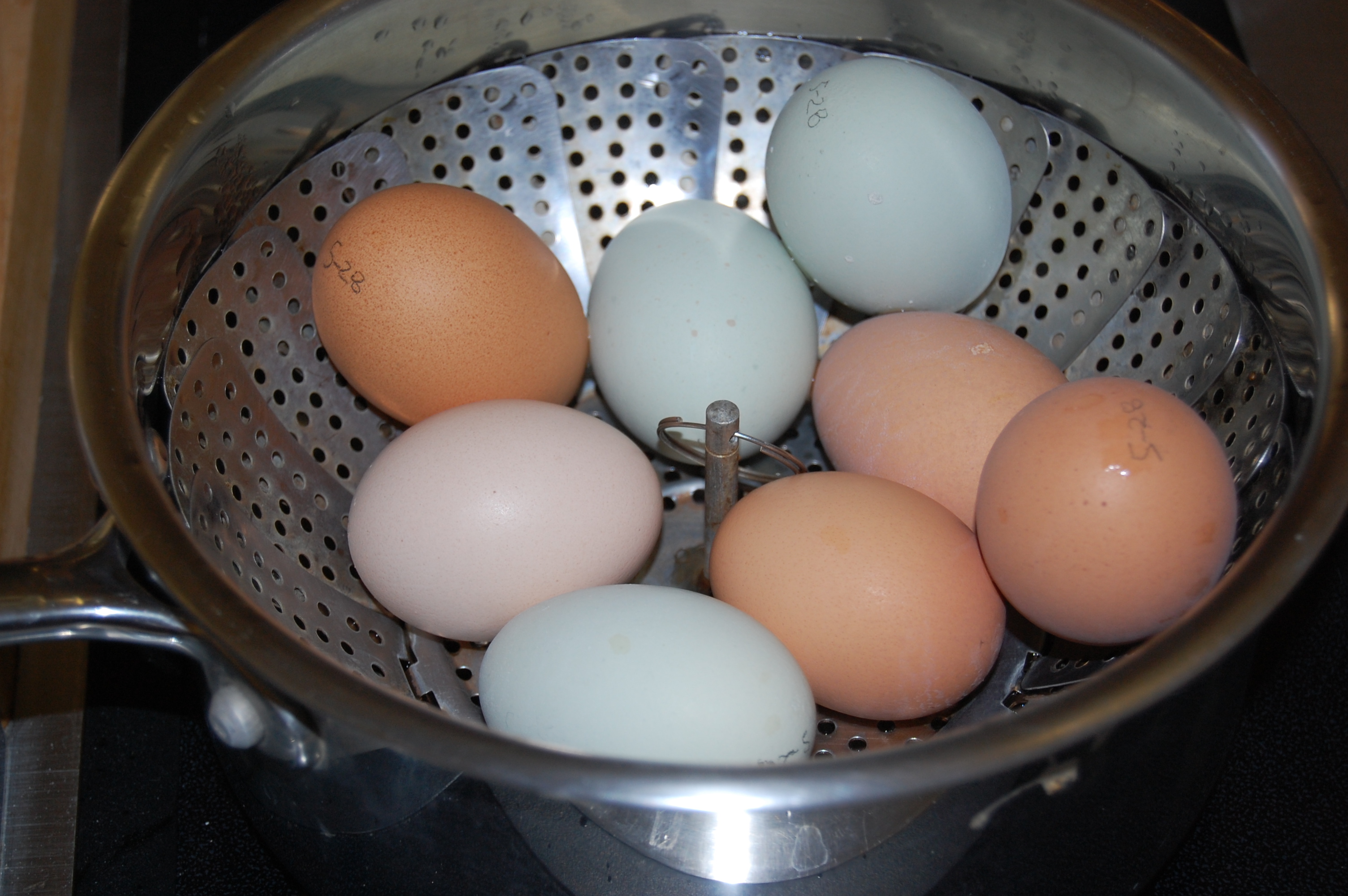 Steam boiling eggs фото 75